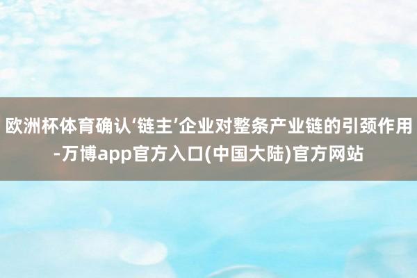 欧洲杯体育确认‘链主’企业对整条产业链的引颈作用-万博app官方入口(中国大陆)官方网站