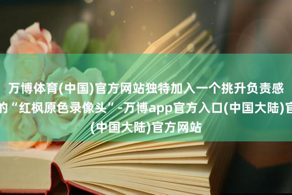 万博体育(中国)官方网站独特加入一个挑升负责感知颜色的“红枫原色录像头”-万博app官方入口(中国大陆)官方网站