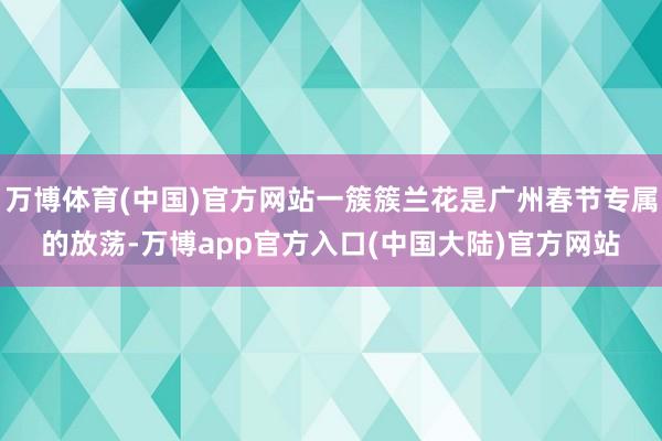 万博体育(中国)官方网站一簇簇兰花是广州春节专属的放荡-万博app官方入口(中国大陆)官方网站