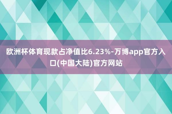 欧洲杯体育现款占净值比6.23%-万博app官方入口(中国大陆)官方网站